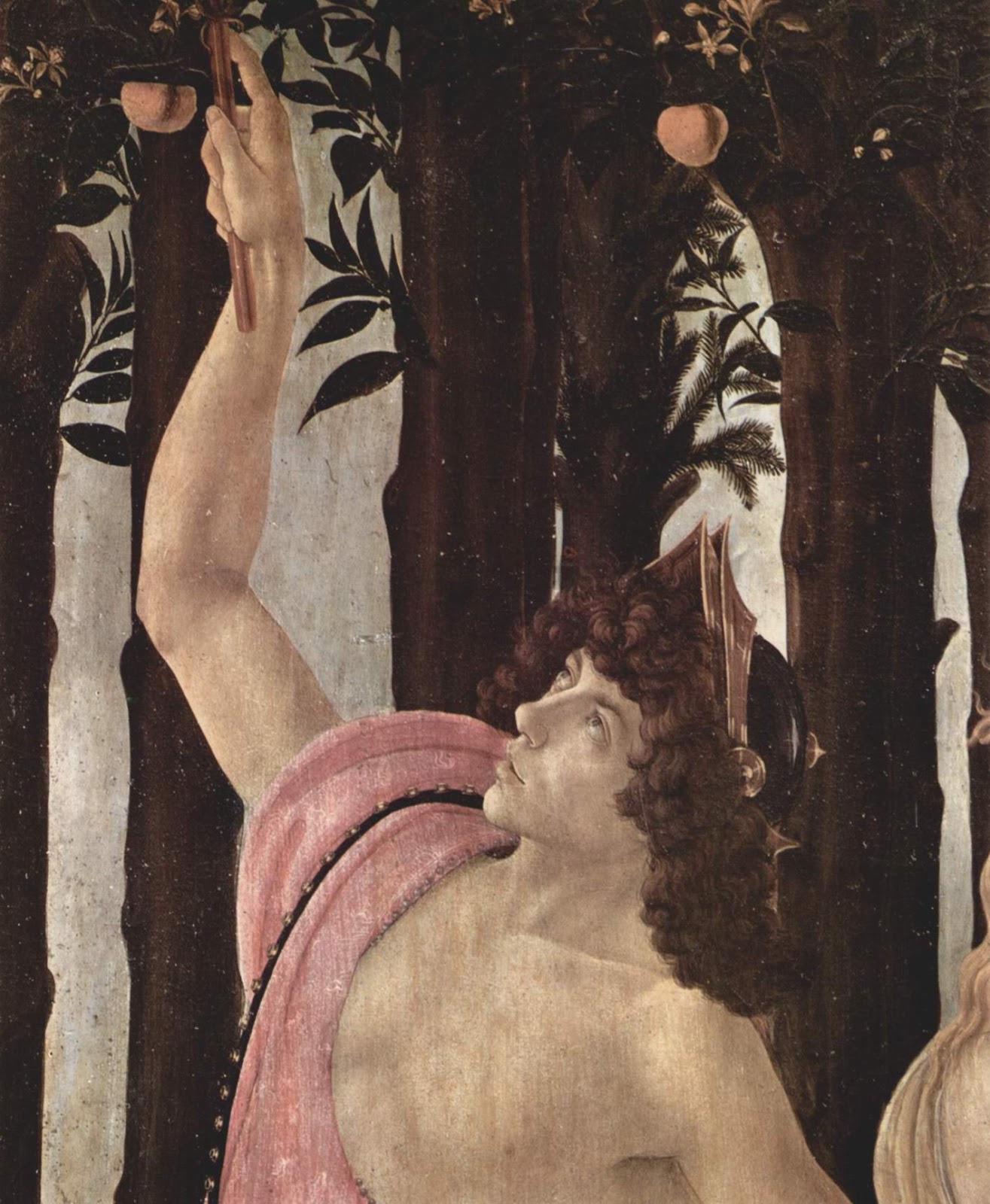 Sandro+Botticelli-1445-1510 (161).jpg